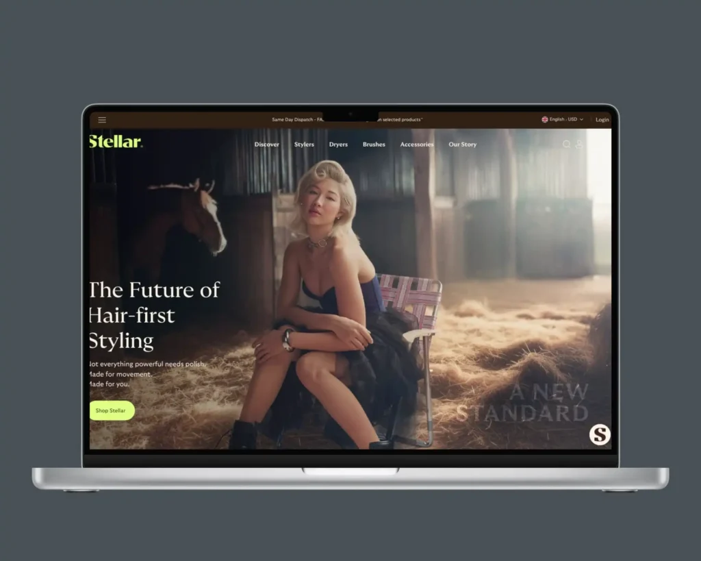 Stellar Hair, Laptop